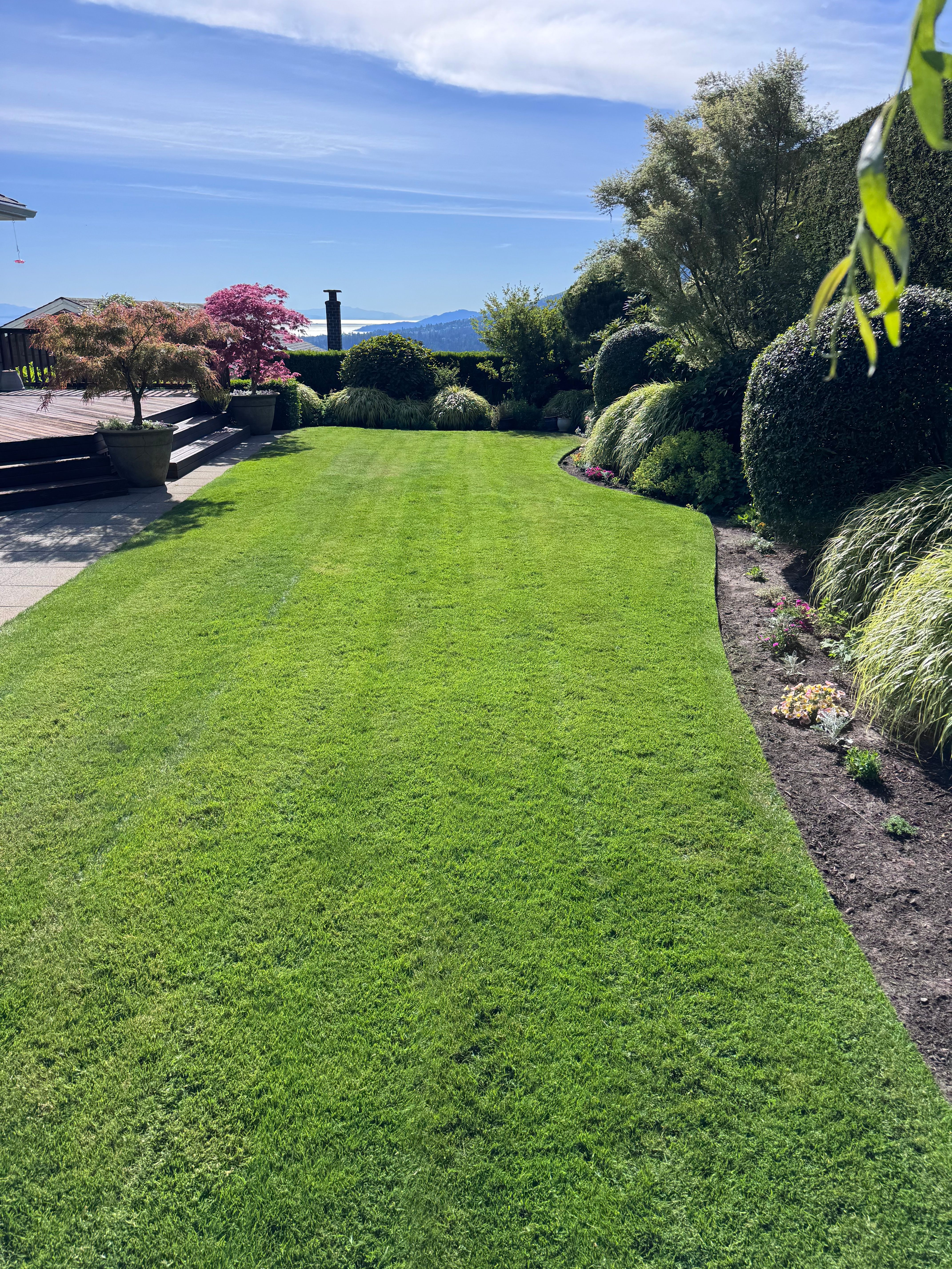 Fresh Cut lawn