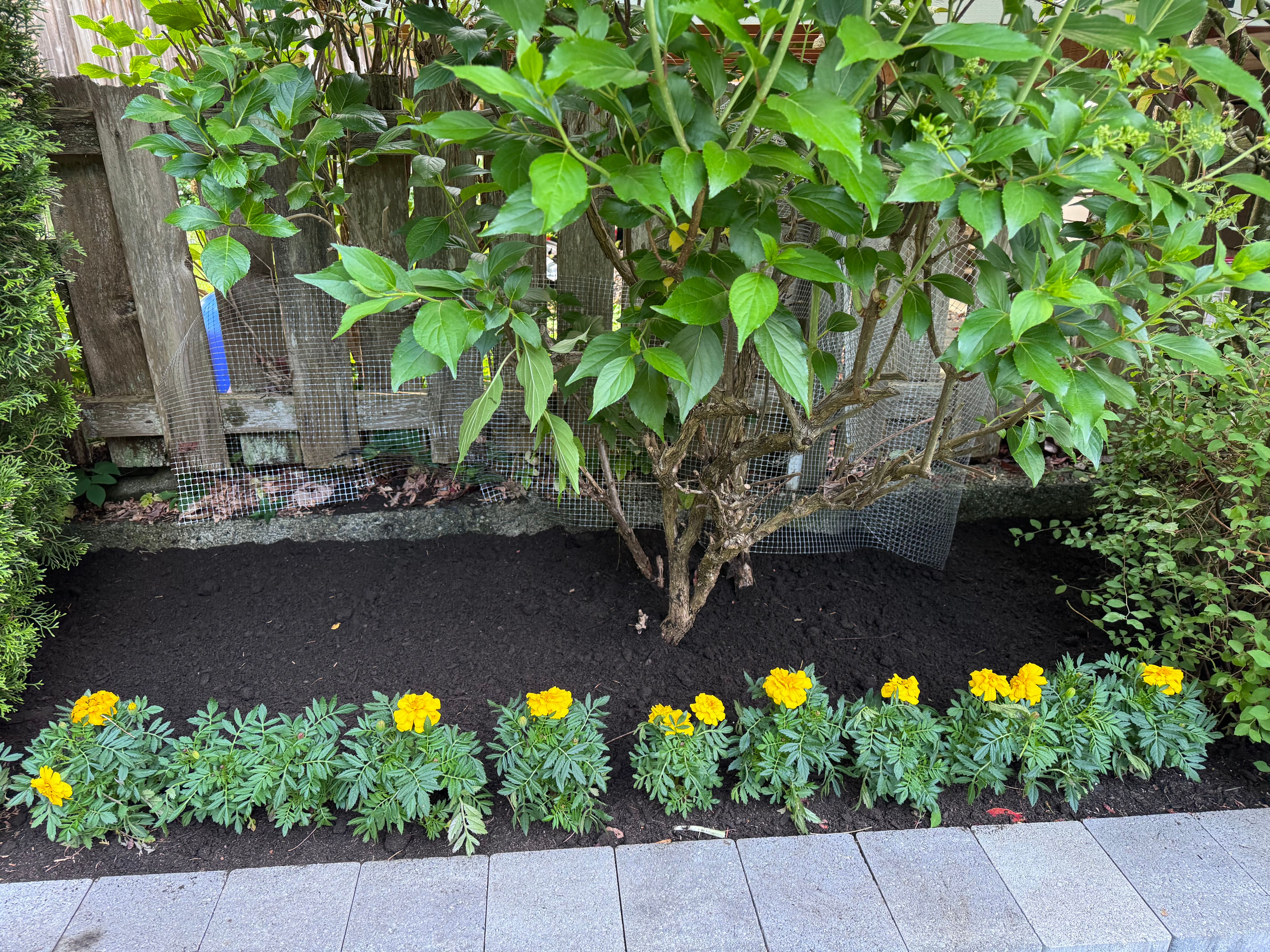 Building of Garden beds