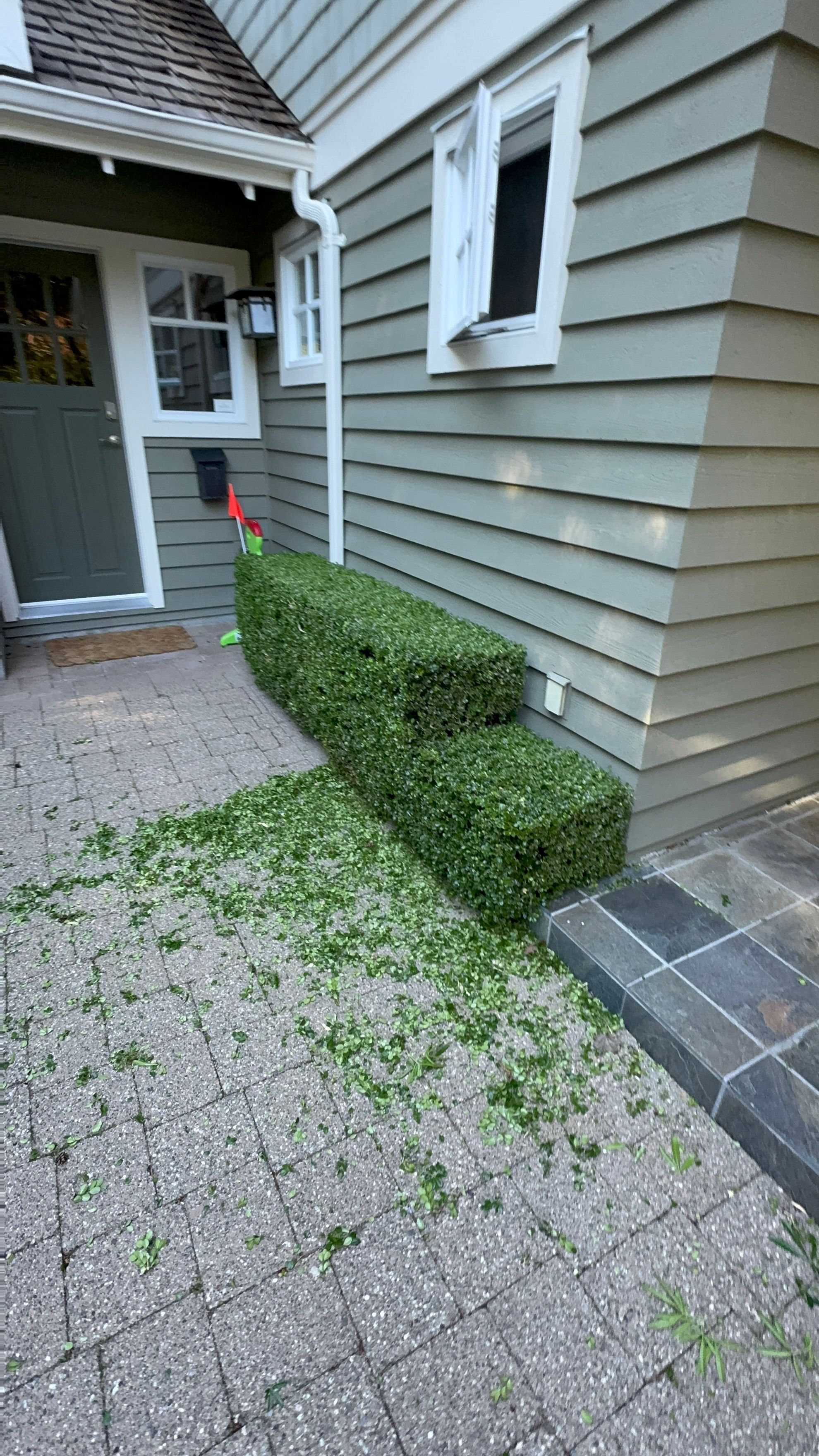Hedge 2